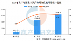 2025年上半年湖北经济运转环境阐发：P同
